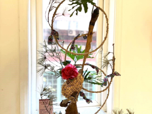 新竹茶花節「茶花原樹」熱鬧登場